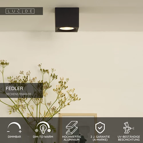 Lucide FEDLER - Deckenstrahler - LED Dim to warm - GU10 (ES111) - 1x12W 2200K/3000K - Schwarz - USP